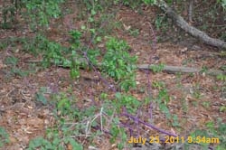 Entergy 119